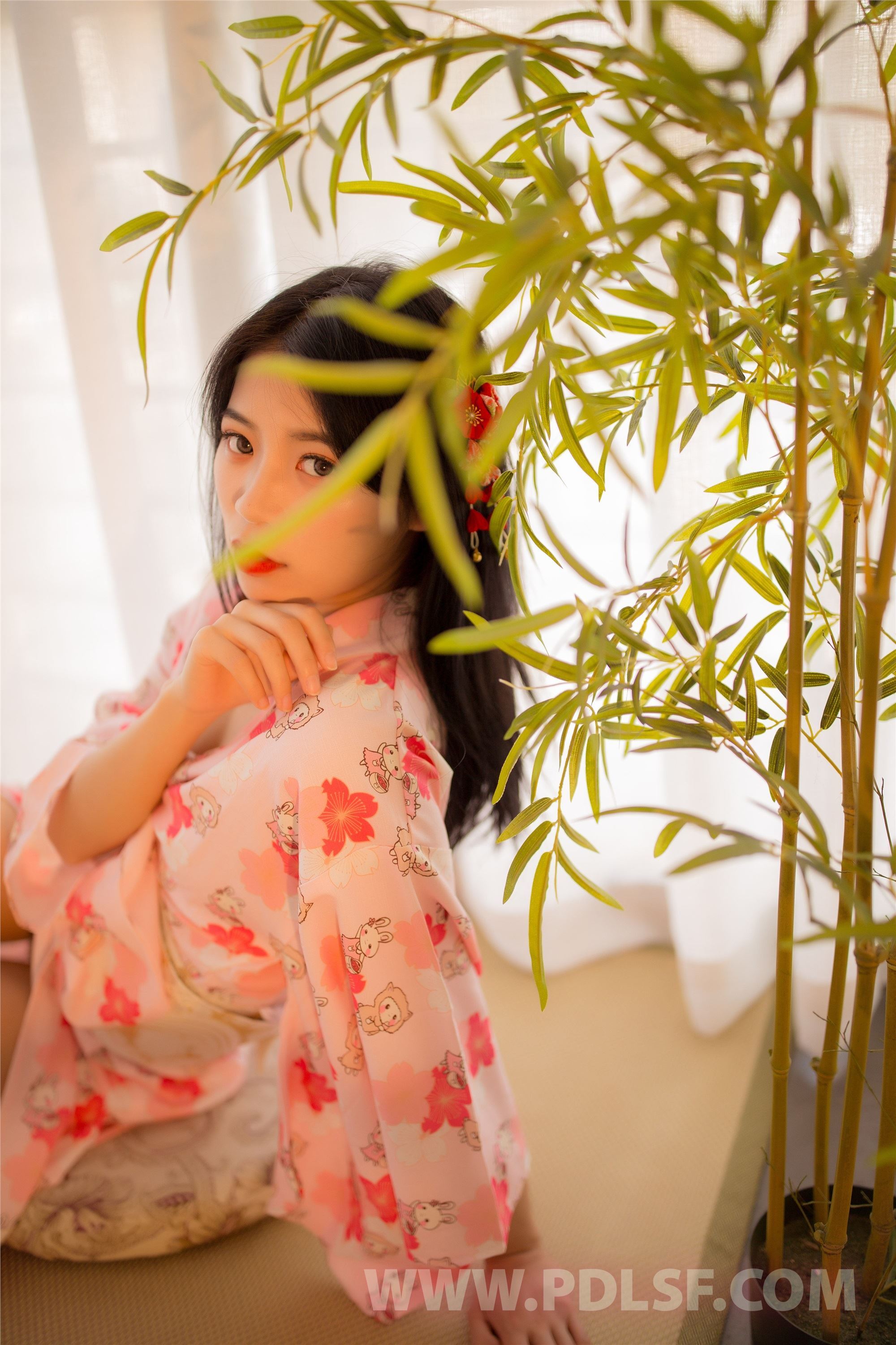 PDL潘多拉  2020.06.02 NO.295 一睹人间盛世颜